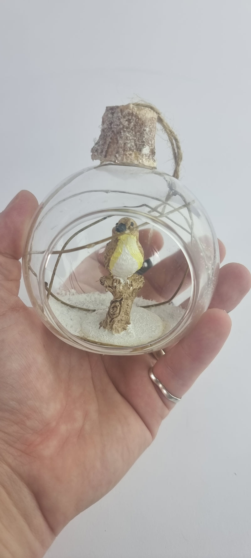 Glass Christmas Bauble with Bird Inside