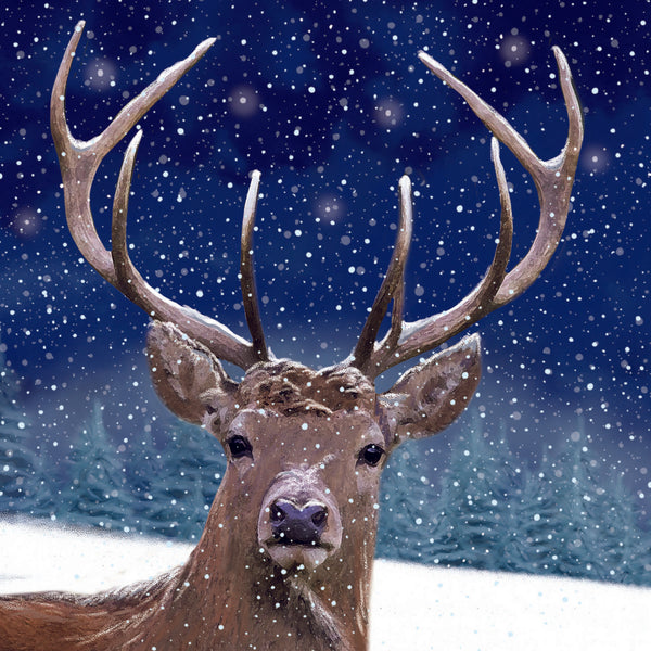 Evening Stag Christmas Cards  Pack of 10